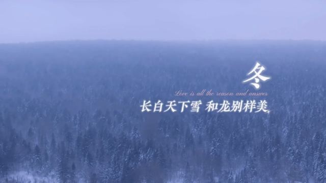 #童话世界粉雪仙境老里克# 长白天下雪 和龙冬季旅游#吉致冰雪激情相约#