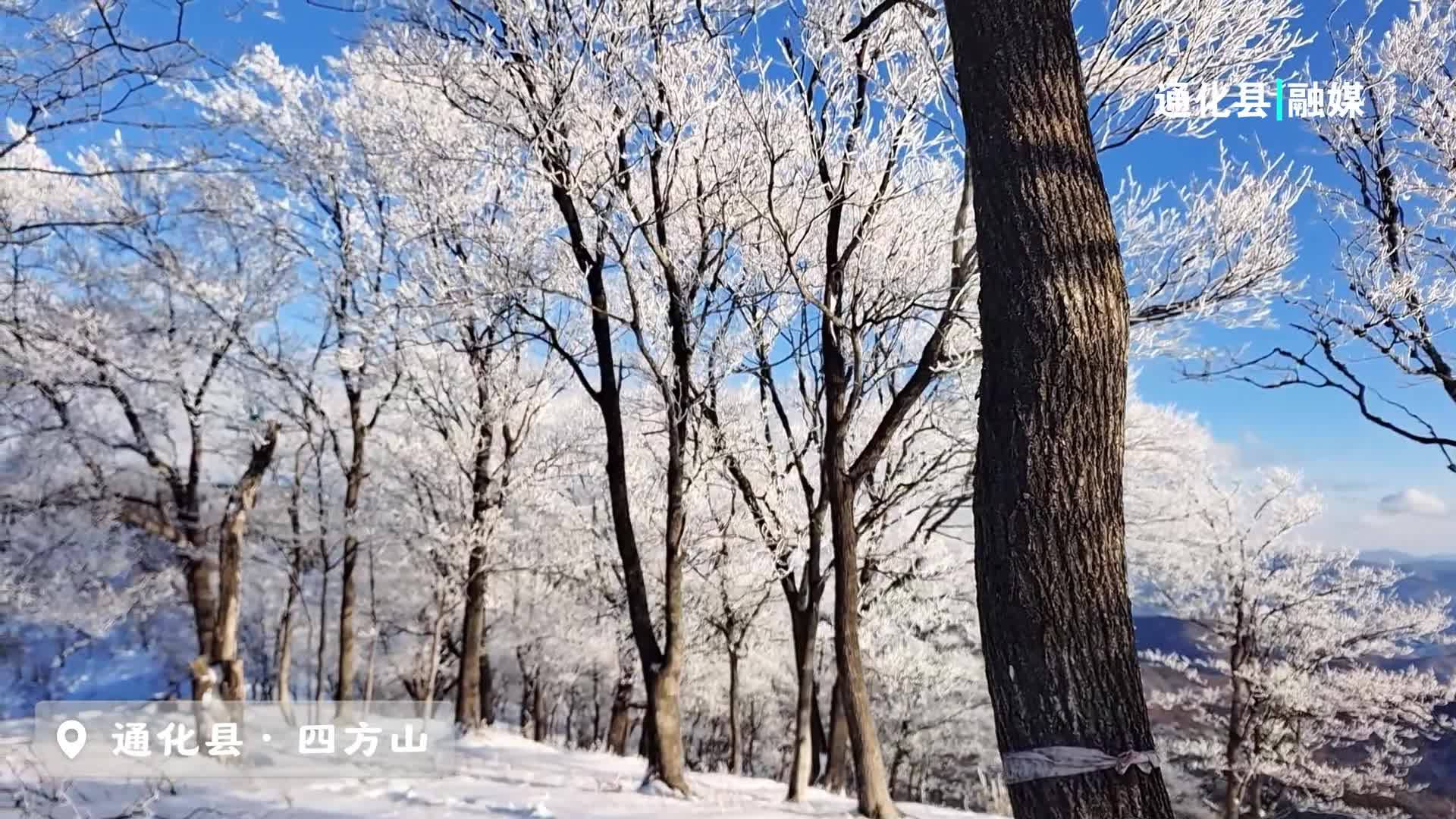 #吉林瑞雪兆丰年# 吉林省通化县四方山雾凇，是冬日留给天空最纯洁的文案#童话世界粉雪仙境老里克# #吉致冰雪激情相约#