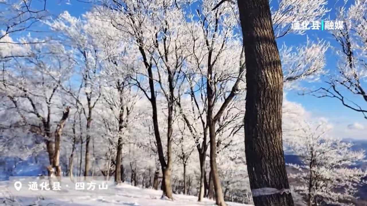 #吉林瑞雪兆丰年# 吉林省通化县四方山雾凇，是冬日留给天空最纯洁的文案#童话世界粉雪仙境老里克# #吉致冰雪激情相约#