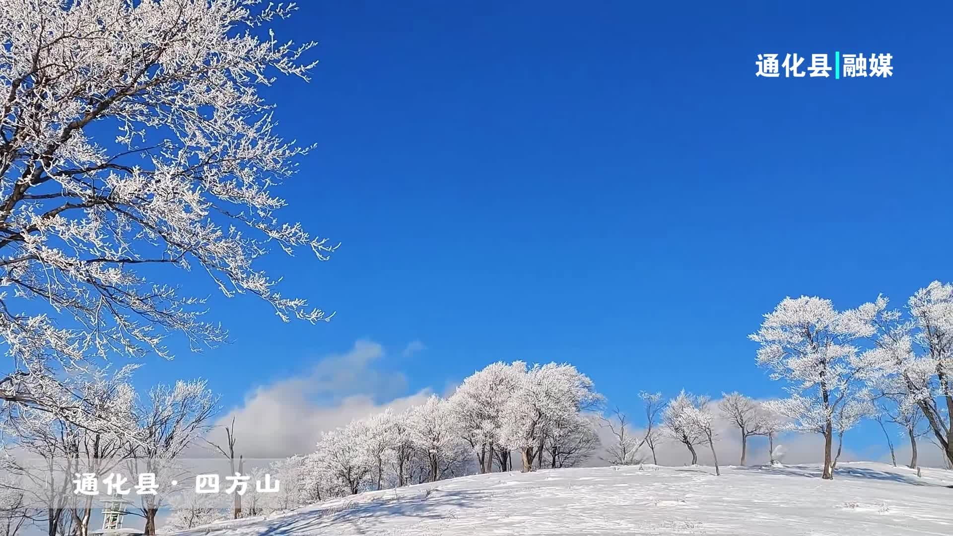 #吉林瑞雪兆丰年# 吉林省通化县四方山雾凇，是冬日留给天空最纯洁的文案#童话世界粉雪仙境老里克# #吉致冰雪激情相约#