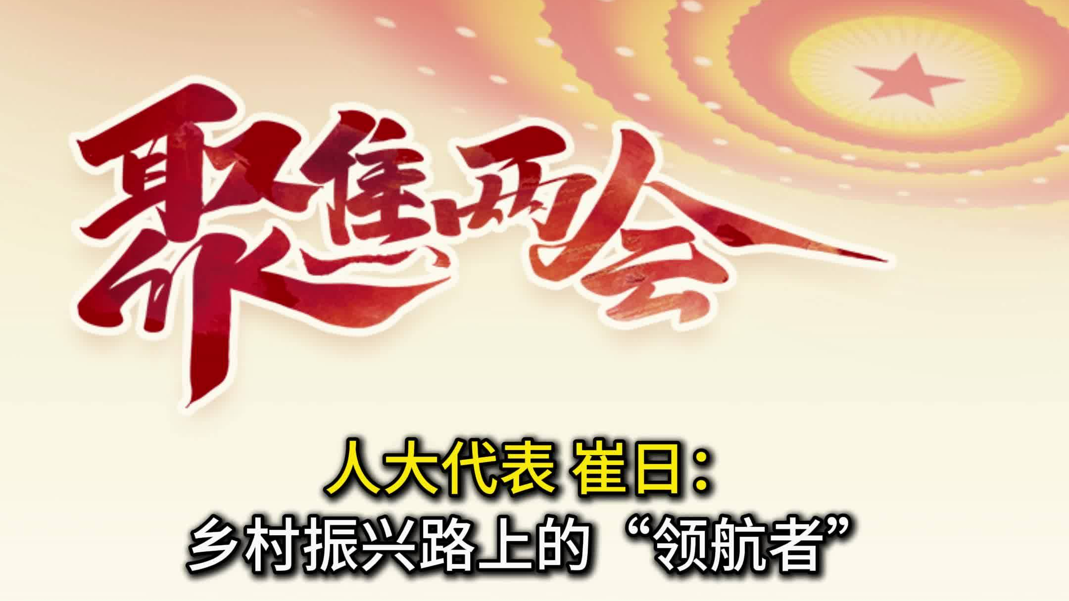 人大代表 崔日：乡村振兴路上的“领航者”