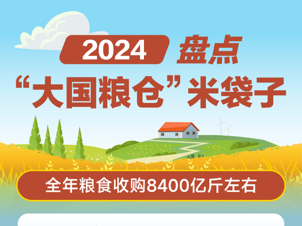 2024，盘点“大国粮仓”米袋子