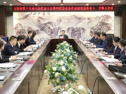 大安市第十九届人民代表大会第四次会议各代表团党员负责人 召集人会议召开