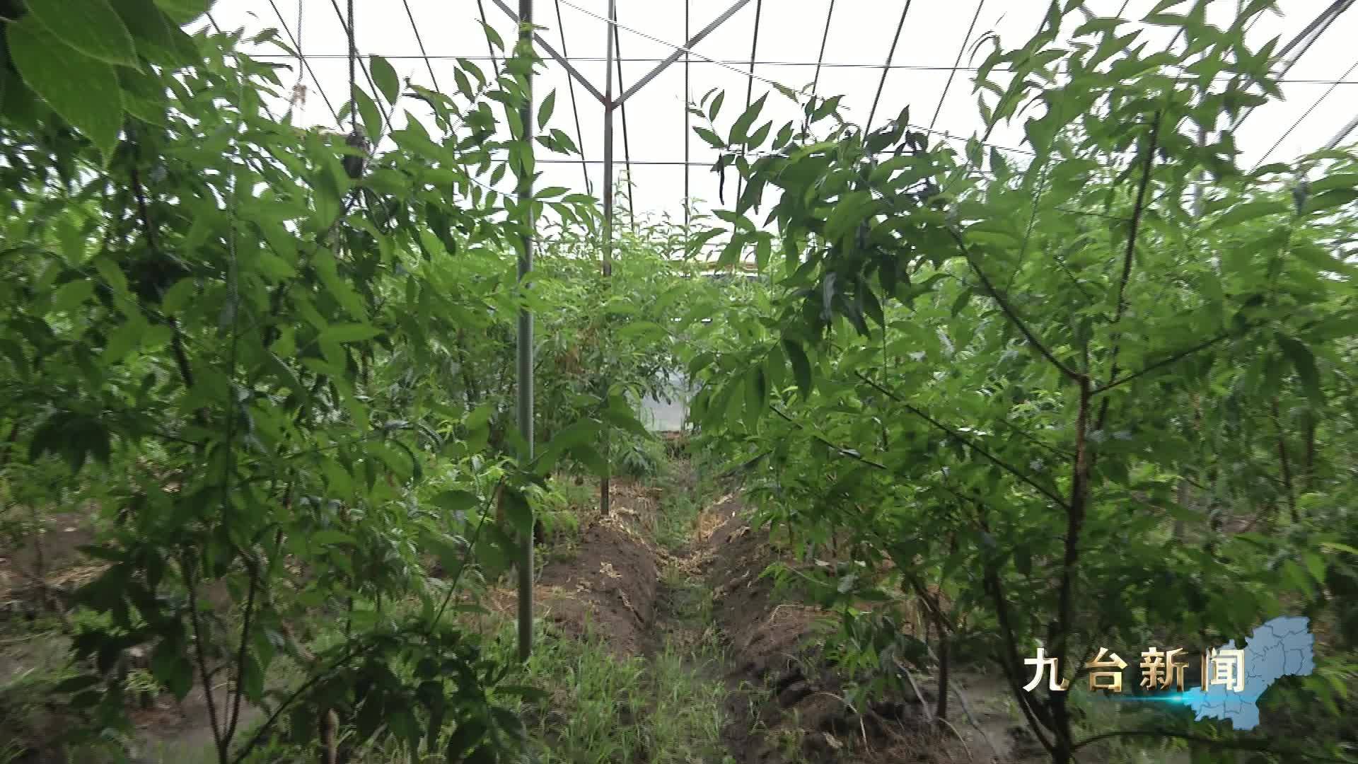 长春日报：巧打时间差 抢“鲜”上市