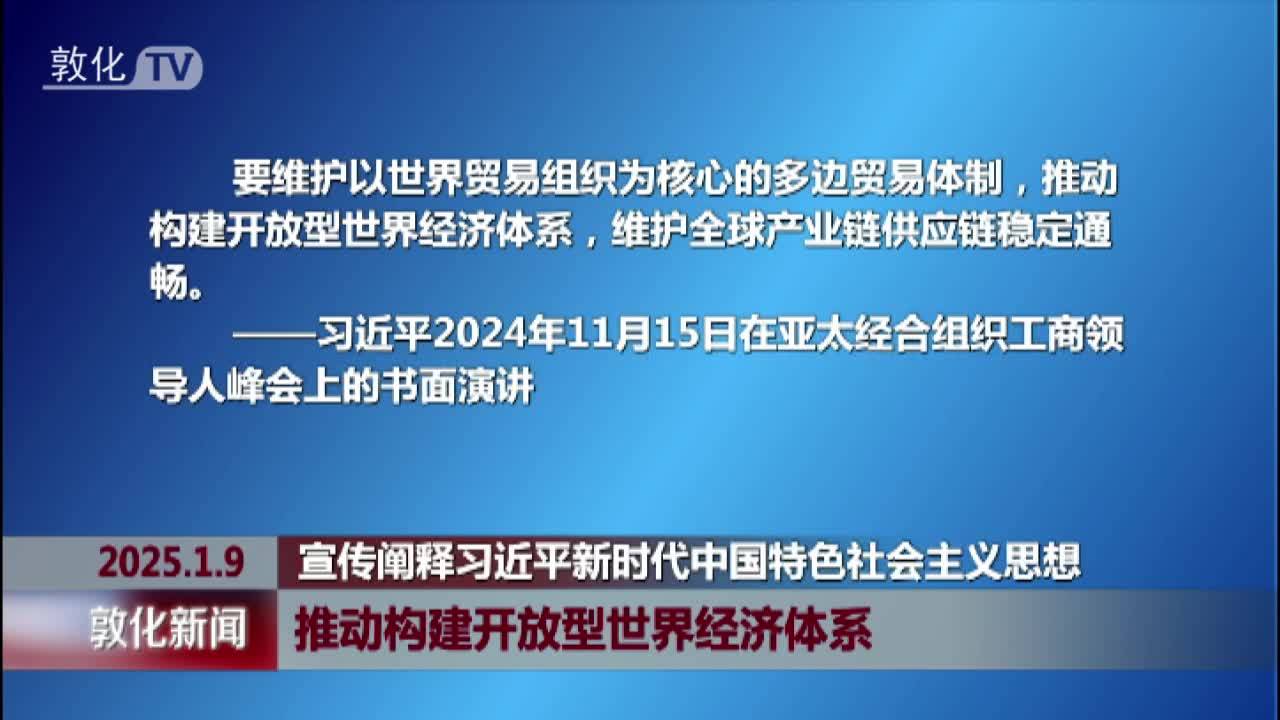 推动构建开放型世界经济体系