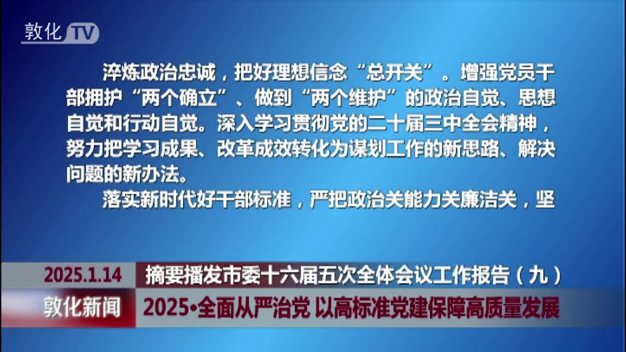 2025·全面从严治党 以高标准党建保障高质量发展