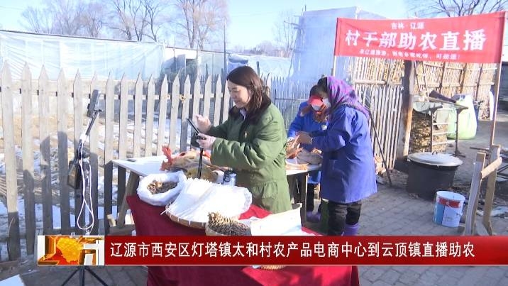辽源市西安区灯塔镇太和村农产品电商中心到云顶镇直播助农