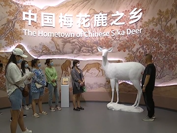 我区以“全域•全季•全员”战略奋力创建国家级全域旅游示范区