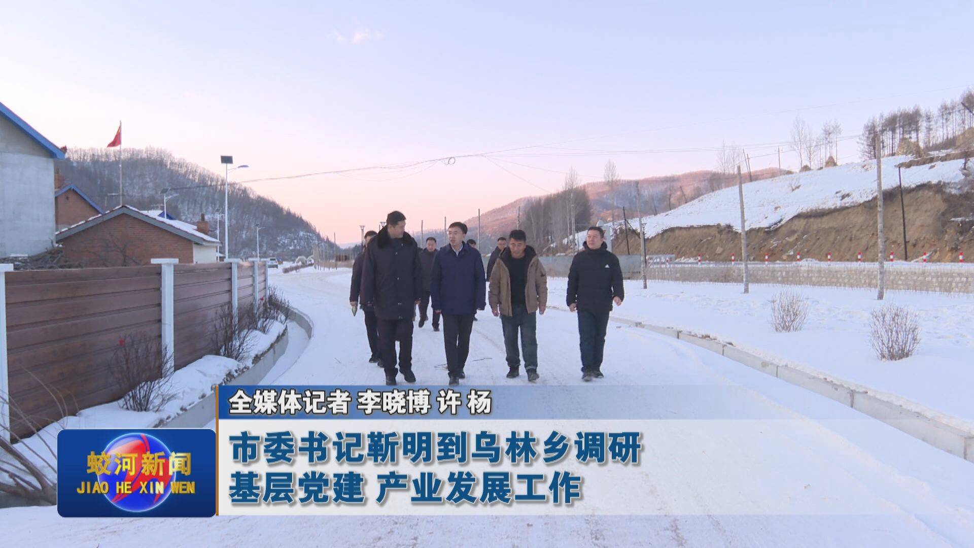蛟河市委书记靳明到乌林乡调研基层党建 产业发展工作