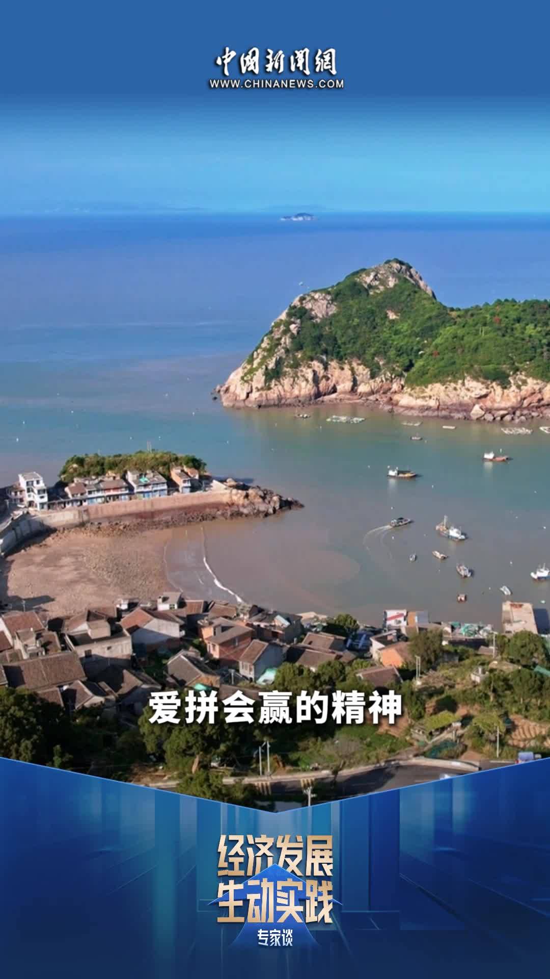 “经济发展生动实践”系列专家谈丨五个维度解码向海发展 #经济发展生动实践专家谈