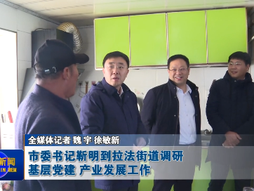 蛟河市委书记靳明到拉法街道调研基层党建 产业发展工作