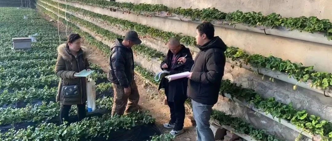 全市开展2025春节期间农产品质量安全监督检查工作