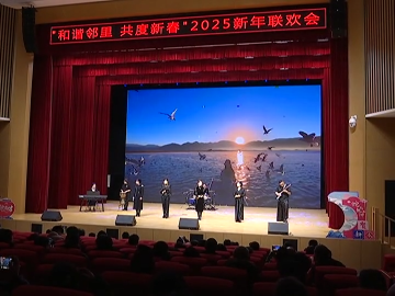 区南山艺术团举办“和谐邻里 共度新春”2025新年联欢会