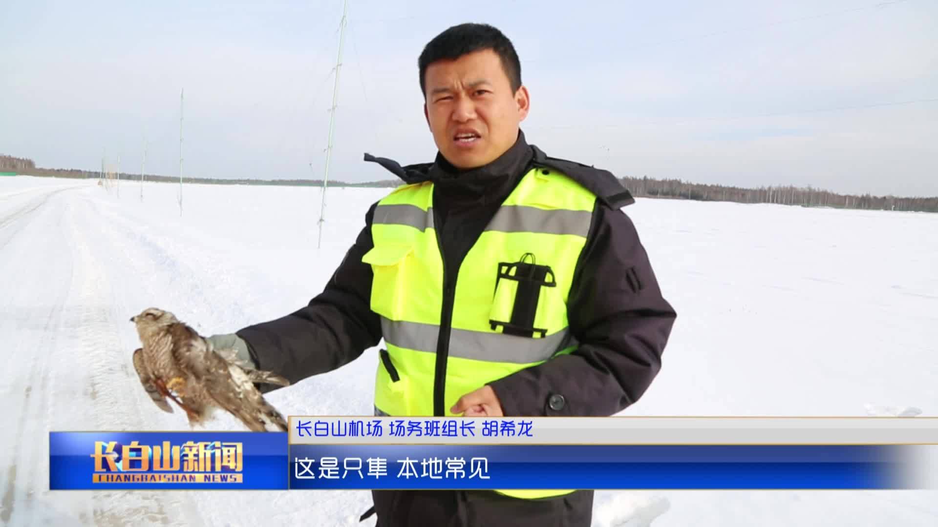 长白山机场场务：守护通天大道的“侦查员”