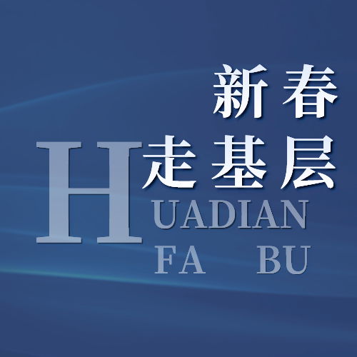 我市开展欢迎域外校友人才回桦过年系列活动