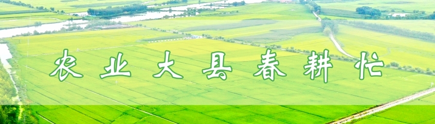 农业大县春耕忙.jpg