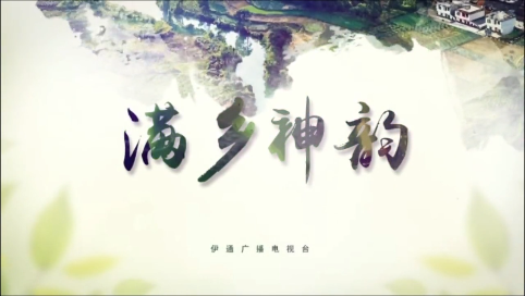 【满乡神韵】伊通满族自治县2025年新春团拜会精彩节目集锦（下）