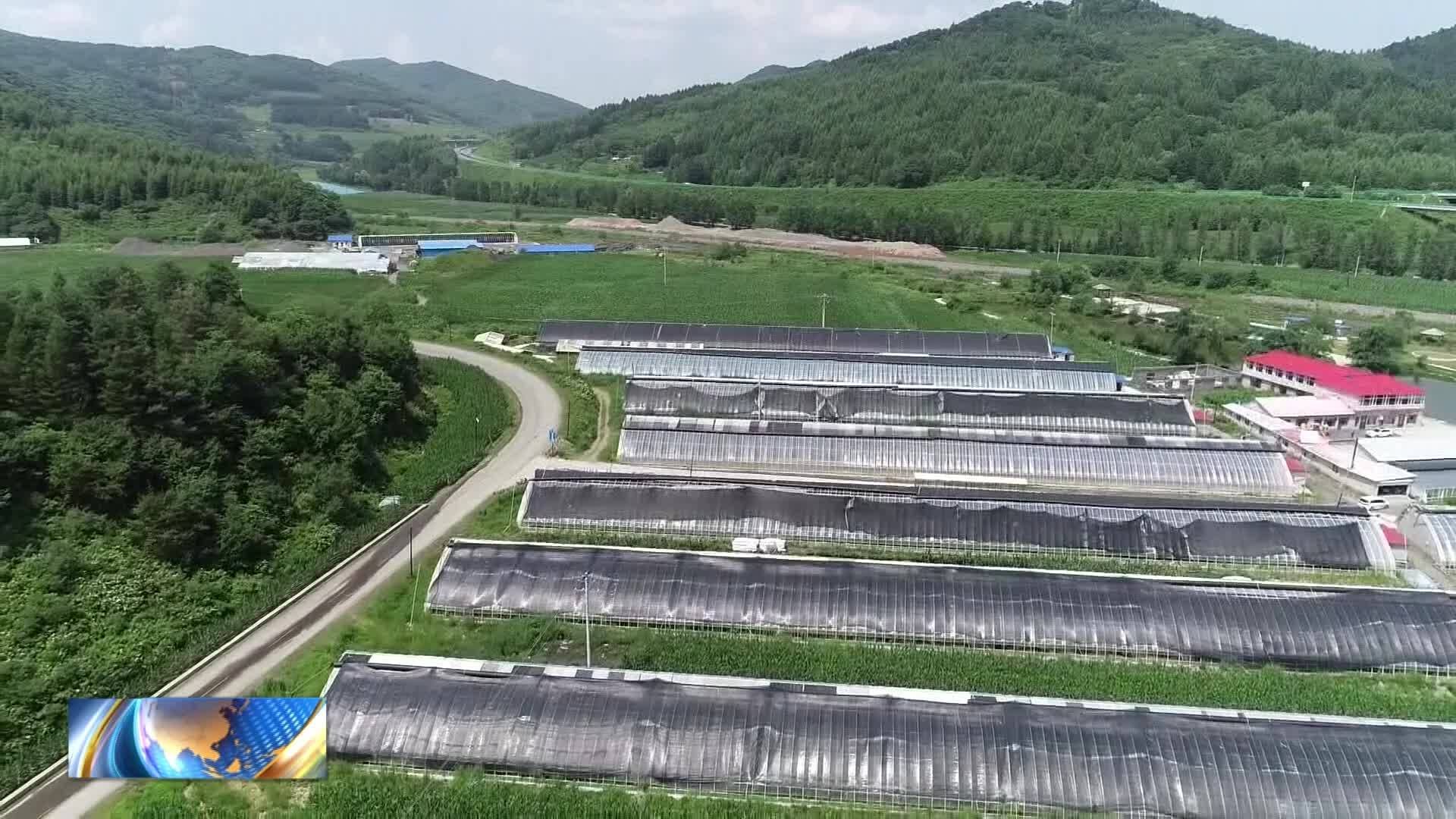 2025年2月21日通化县新闻