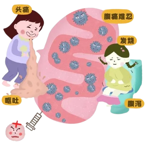 image-removebg-preview - 2025-02-14T165959.653.png