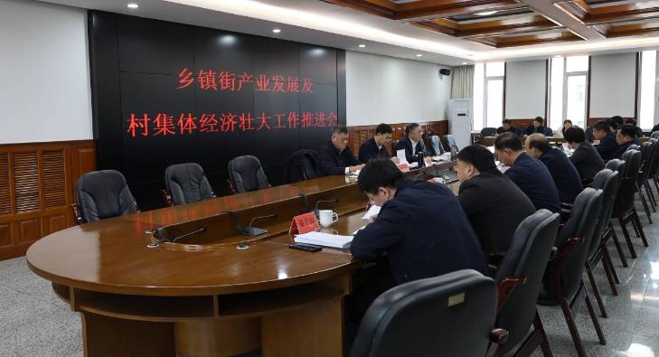 蛟河市召开乡镇街产业发展及村集体经济壮大工作推进会议