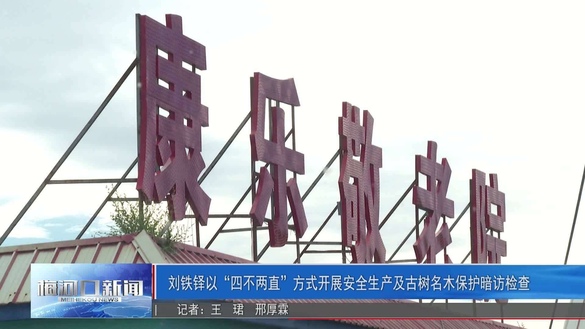 刘铁铎以“四不两直”方式开展安全生产及古树名木保护暗访检查