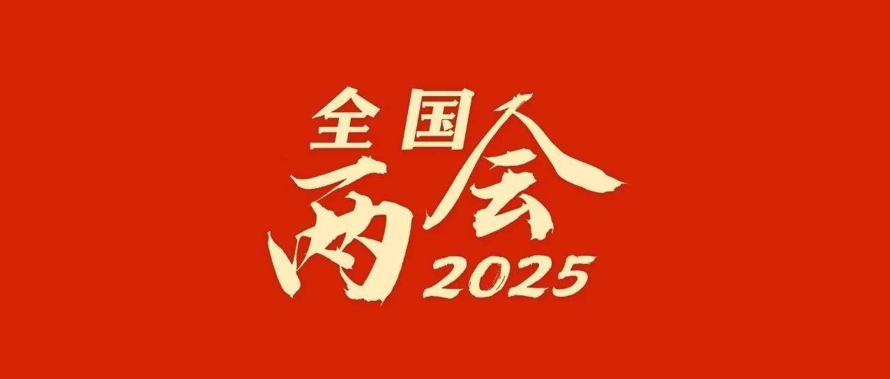 2025年政府工作十大任务