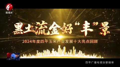 黑土流金好“丰”景—2024年度四平玉米产业发展十大亮点回顾——五、美食层出不穷 筑起臻味“大厨房”