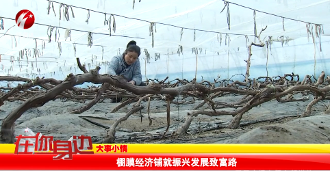 棚膜经济铺就振兴发展致富路