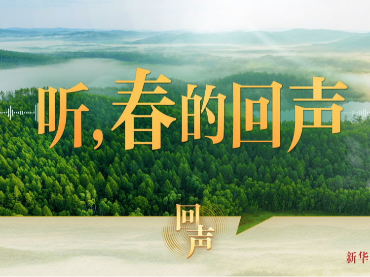 听，春的回声