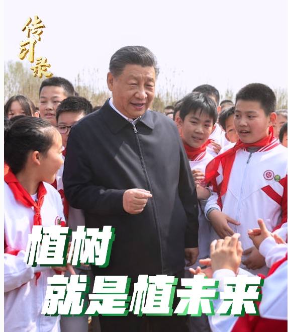 传习录丨植树就是植未来
