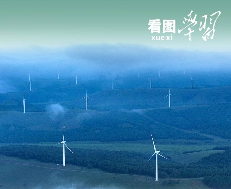 看图学习丨从“焦桐”到“谷树” 总书记强调生态文明建设靠物质也靠精神