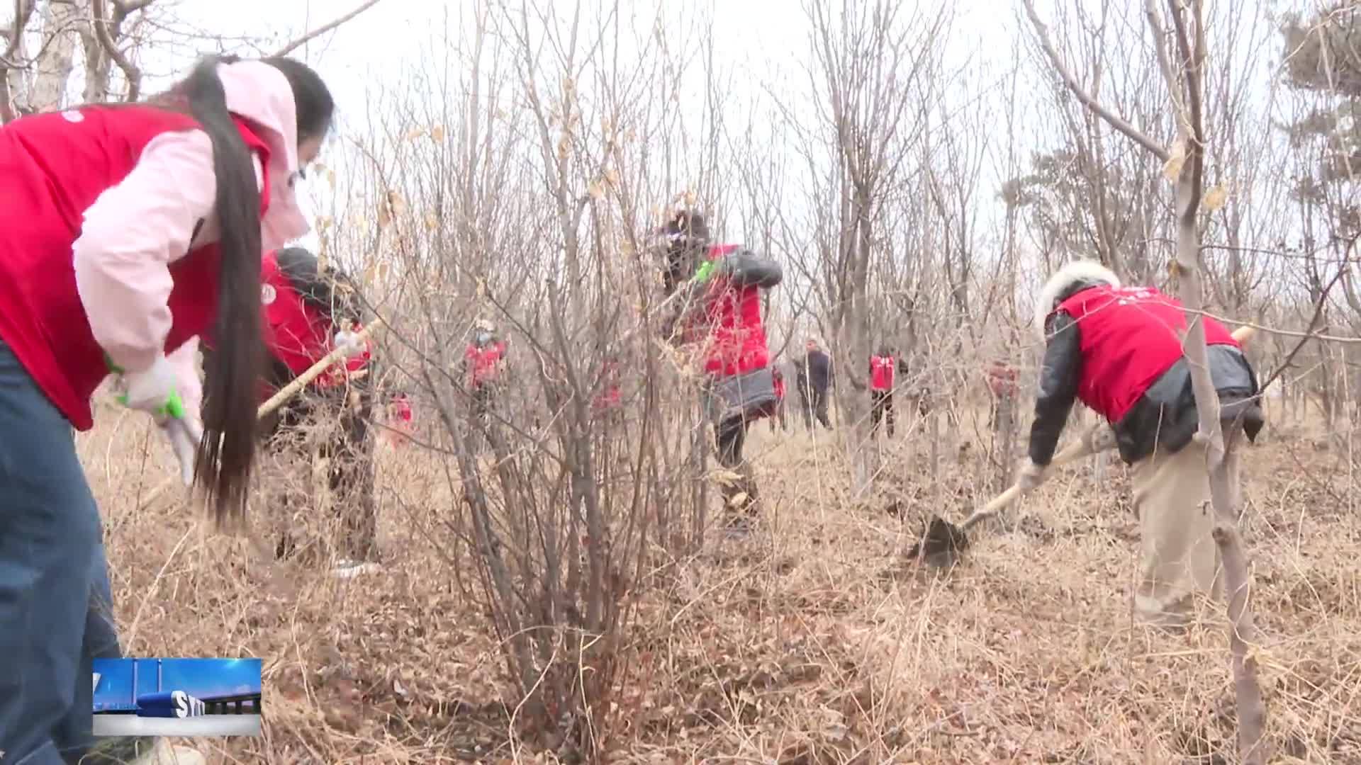 履行植树义务 共建美丽前郭