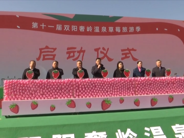 第十一届双阳奢岭温泉草莓旅游季开幕