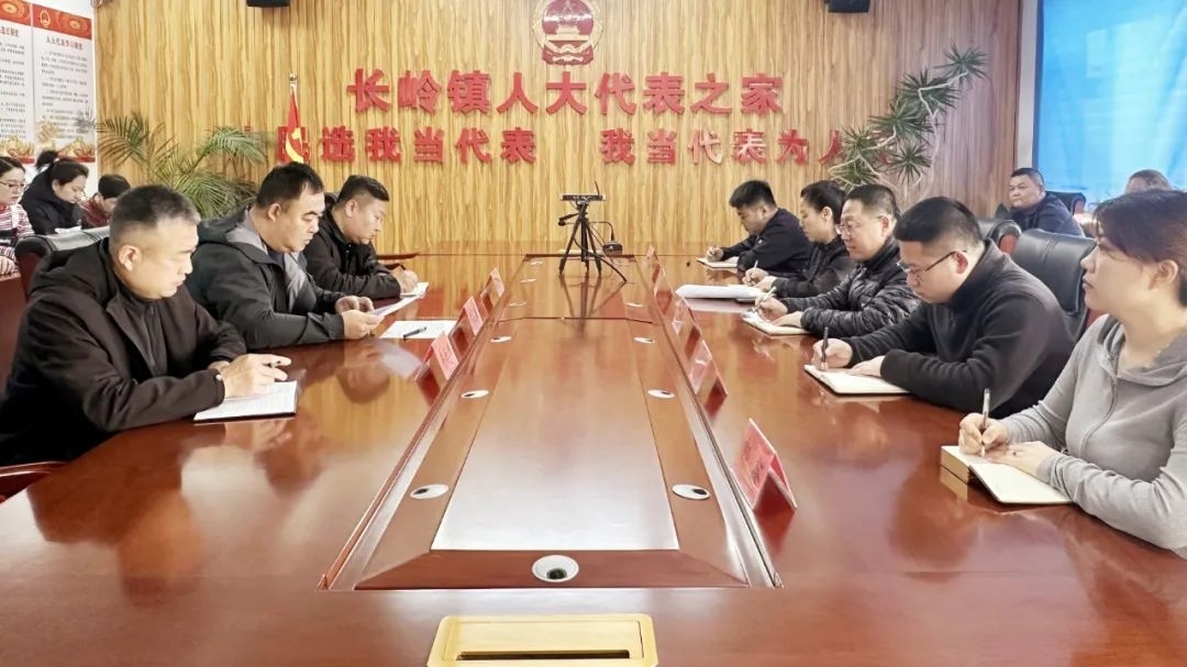 【牢记嘱托 感恩奋进 在中国式现代化建设中展现更大作为】长岭县长岭镇：实干作笔 书写实绩