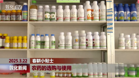 农药的选购与使用