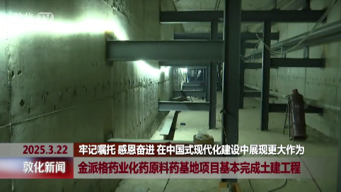 金派格药业化药原料药基地项目基本完成土建工程