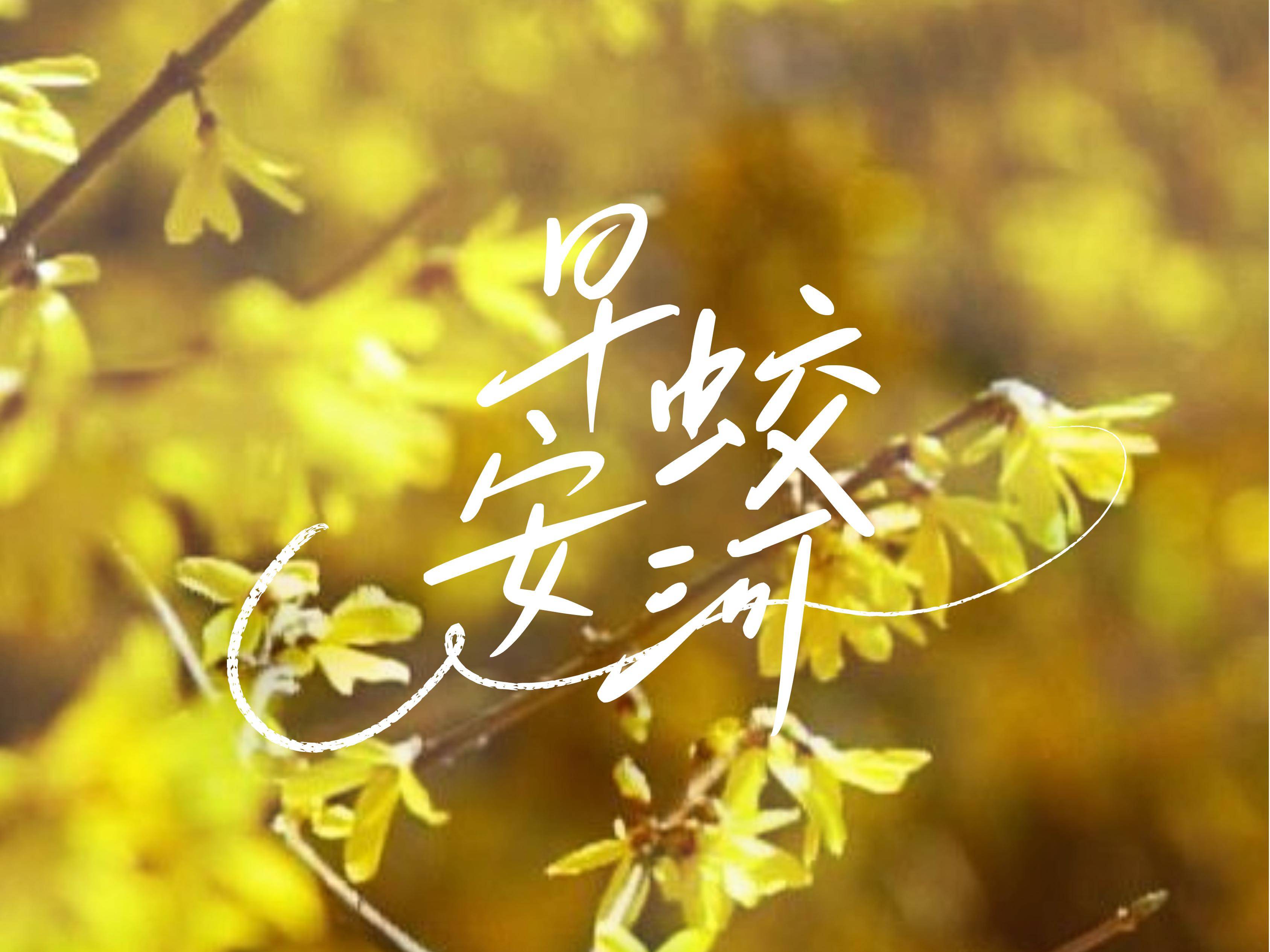 早安蛟河
