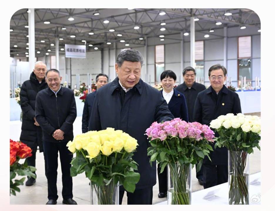 时政微观察丨生活像花儿一样美