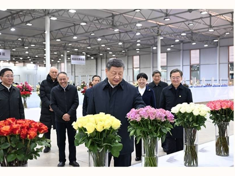 让“美丽产业”成为造福群众的“幸福产业”