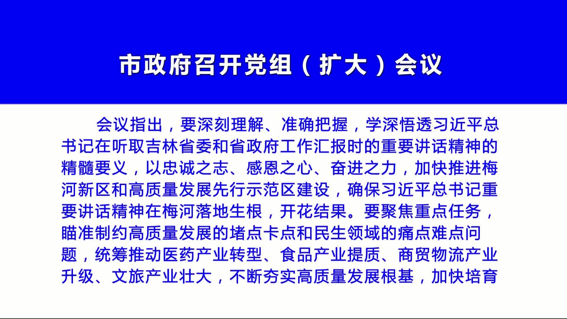 市政府召开党组（扩大）会议