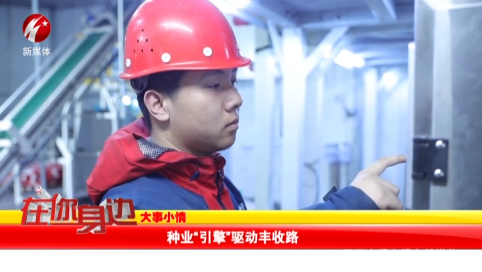 种业“引擎”驱动丰收路