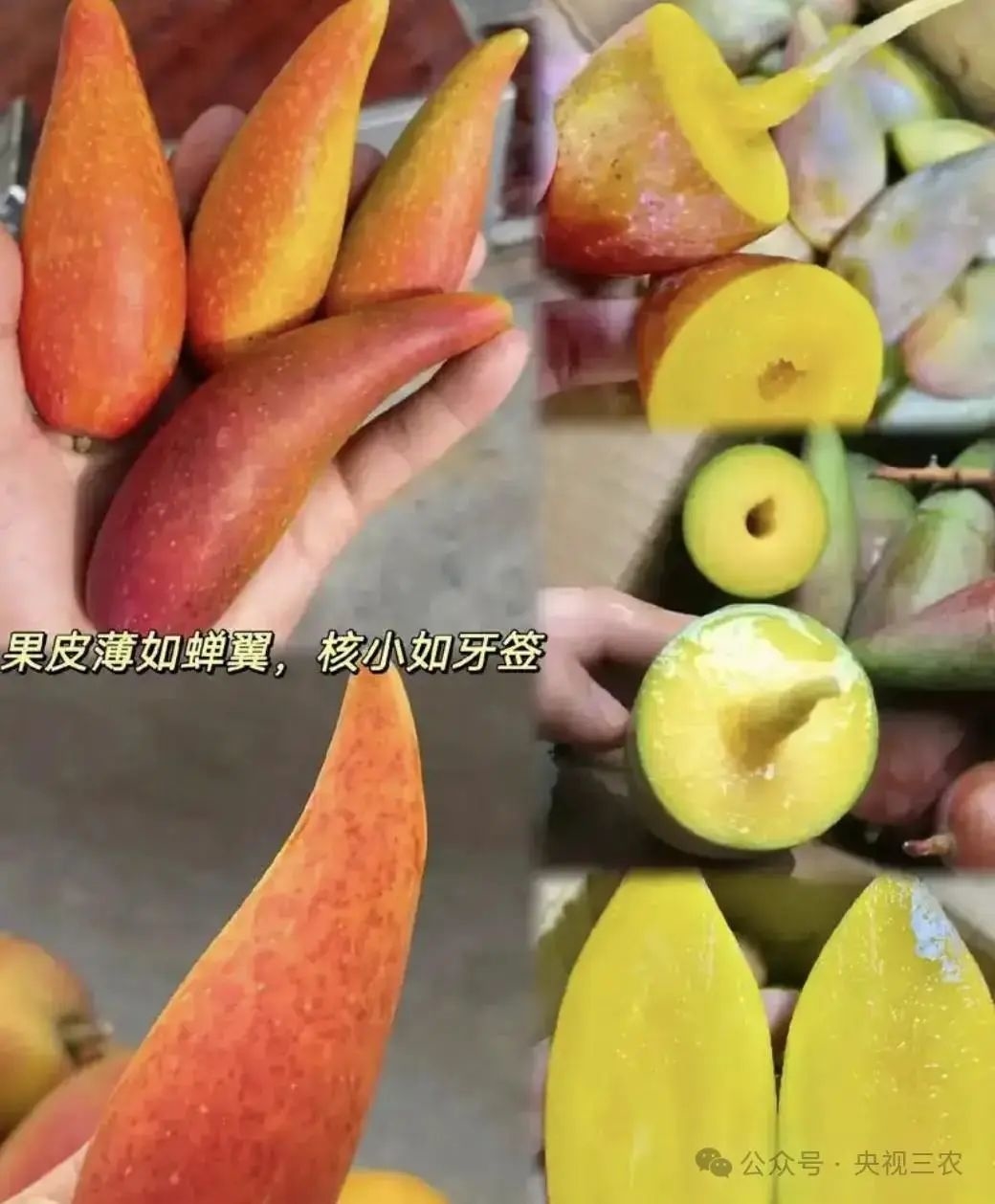 这些水果界的“大忽悠”，你买过吗？