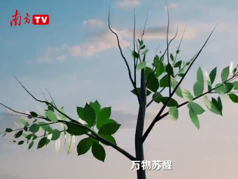 奋进的春天 | 中国经济的“光合作用”