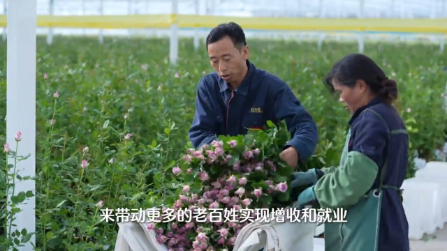 时习之｜这份“美丽产业”为乡村振兴锦上添“花”