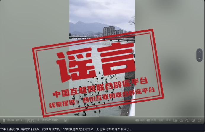 今日辟谣