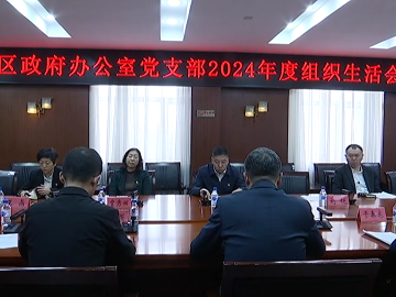 姜楠等区政府领导参加所在党支部2024年度组织生活会