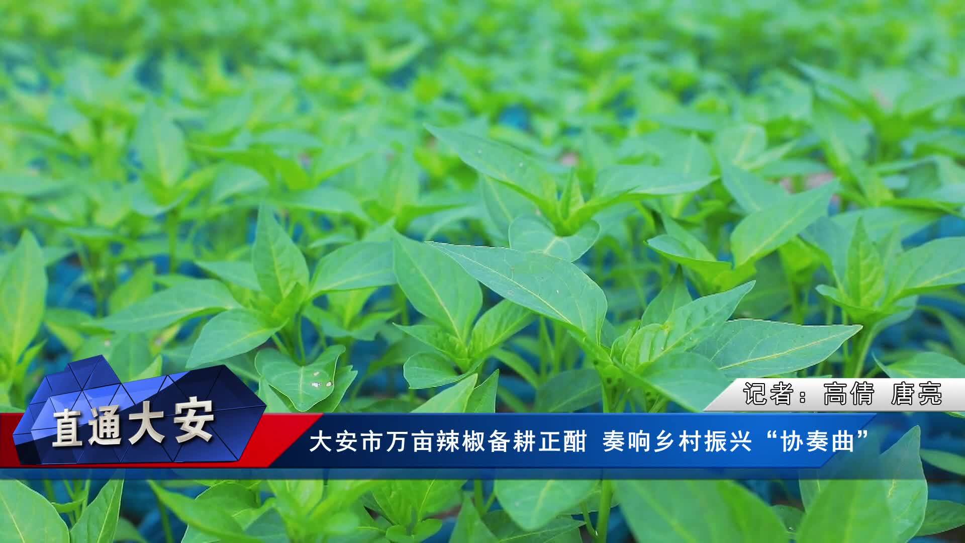 4月3日 直通大安