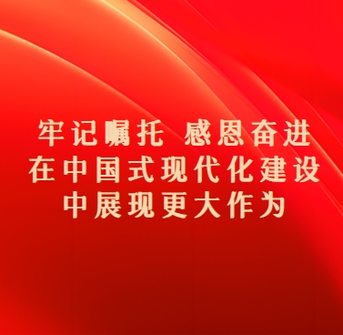 【牢记嘱托 感恩奋进 在中国式现代化建设中展现更大作为】长岭县流水镇：笃行实干提质效 凝心聚力谋发展