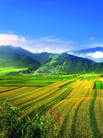 绿野寻芳 春游白山 | 清明踏青好去处，这份白山旅游攻略请查收~