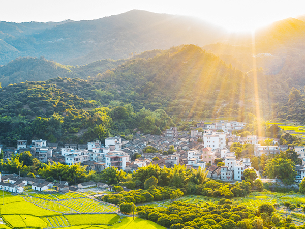 联播+｜督察利剑 守护绿水青山